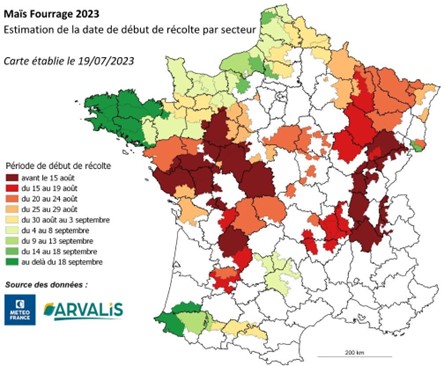 Prévision des dates de récolte pour le maïs fourrage – campagne 2023 (source Arvalis)