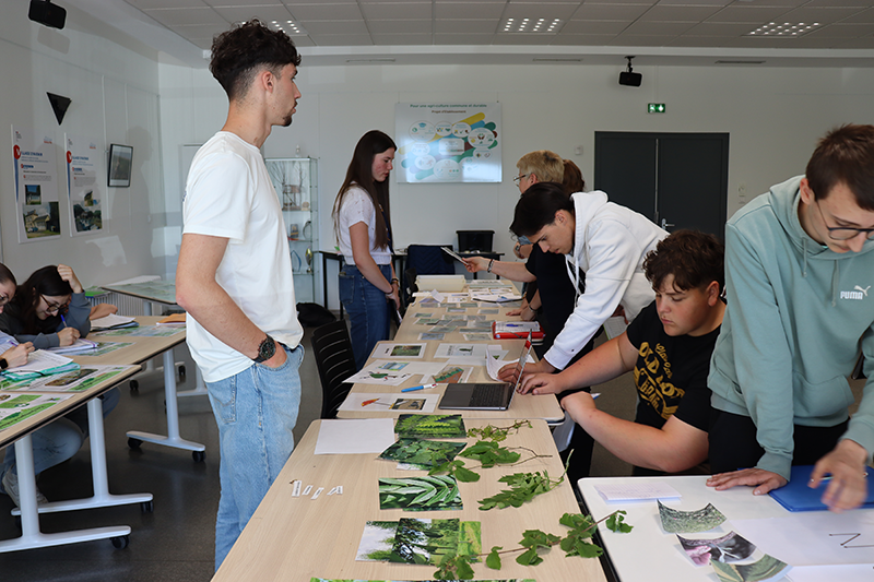 © Campus de Mirecourt