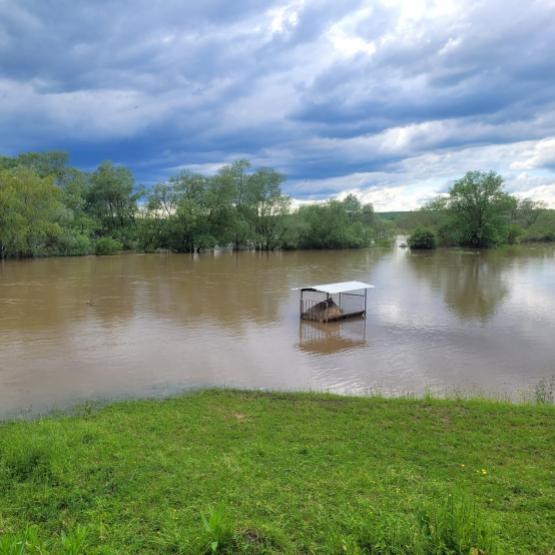 Les bovins ont déserté les parcs envahis par l’eau. Photo : JLM