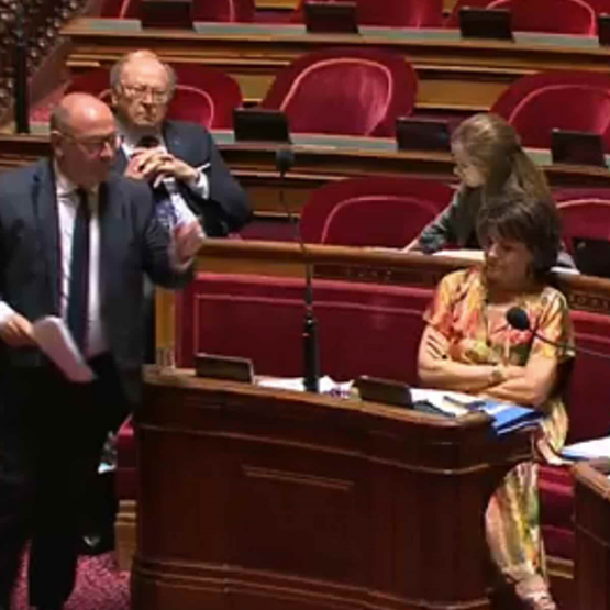 Débat au Sénat lors de l'examen de la PLUA. © Sénat
