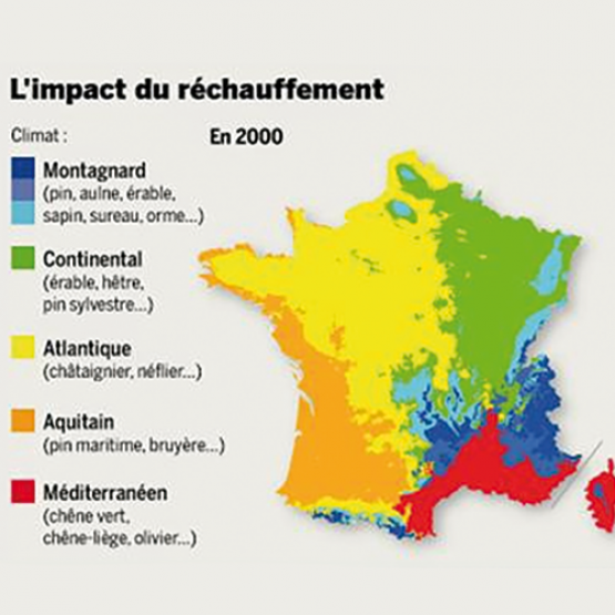 D’après les prévisions, le climat du Grand Est, actuellement continental, est amené à être aquitain d’ici 2100. Source : Inra-Nancy - Umr Silva