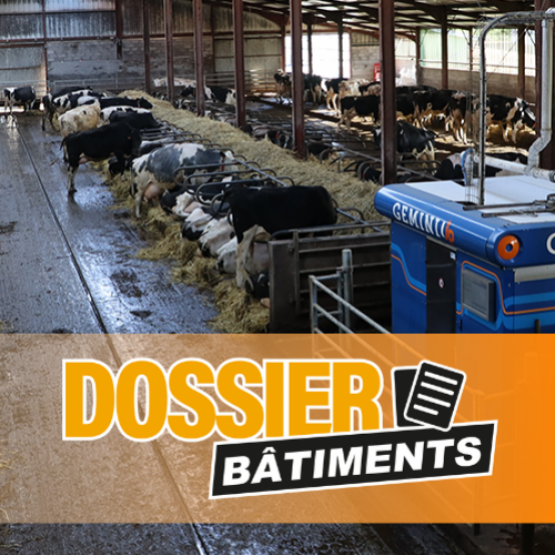 En 2024, les trois frères ont intégré un système de raclage automatique, et ont opté pour la robotisation de la traite avec Boumatic. © Hélène FLAMANT