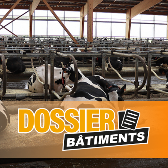 Des logettes bien réglées, ce sont des vaches qui se lèvent naturellement pour aller se faire traire et donc moins de risques de mammites. © Photo Hélène FLAMANT