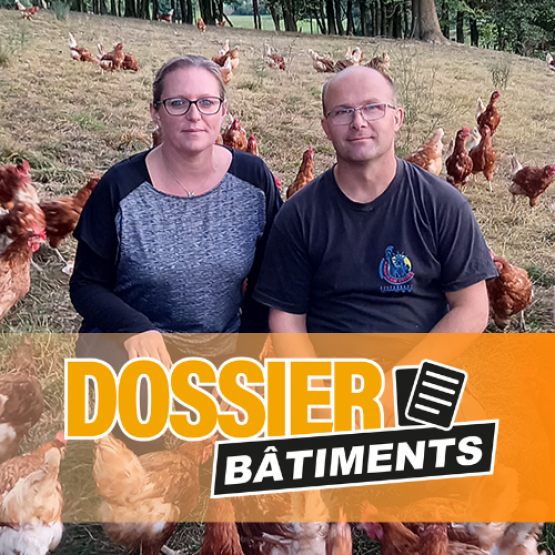 Vanessa et Pierre Monin élèvent plusieurs milliers de volailles entre filière bio et conventionnelle. © Photo EARL du Moulnot