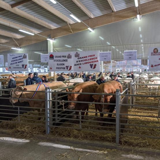De nombreux acheteurs ont répondu présent pour le concours de Noël. Photo : A.Legendre