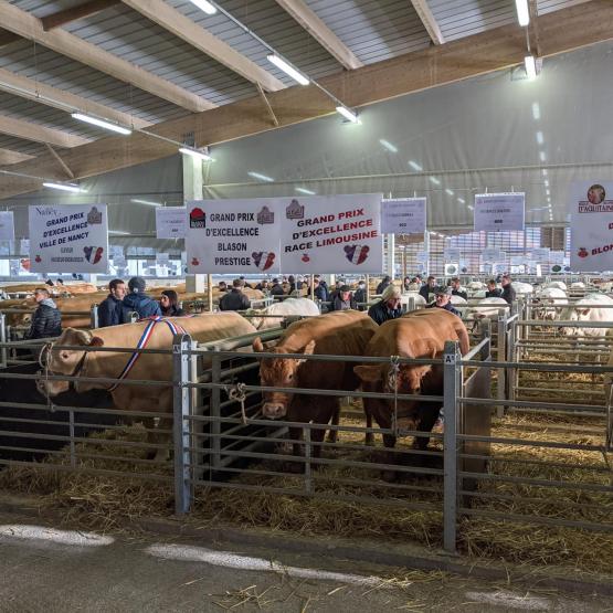 De nombreux acheteurs ont répondu présent pour le concours de Noël. Photo : A.Legendre