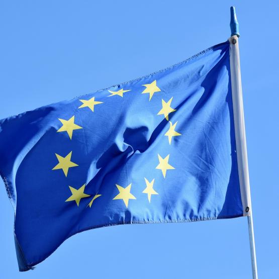 Céline Imart : « ce pilotage promis par la Commission ne vise qu’à corriger les problèmes introduits avec la renationalisation. On répare d’un côté ce qu’on détricote de l’autre côté ».