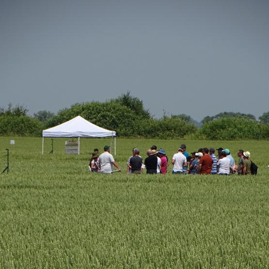 Au travers des neuf ateliers, Arvalis souhaitait présenter les résultats et essais en cours. (Crédit Photo : J.Joris)
