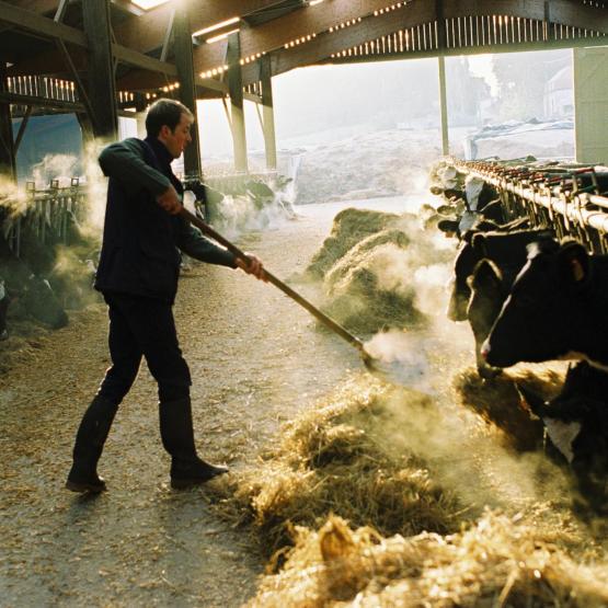 Anticiper son décès signifie sécuriser l’exploitation du foncier et des bâtiments. Crédit photo : Laurent Gueneau 