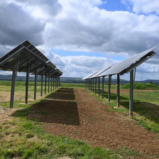 Falco Solar revendique, être la première société de conception de trackers solaires 1-axe français. Photo : J.JORIS