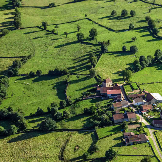 Illustration Paysage agricole France © iStock-Mulecan