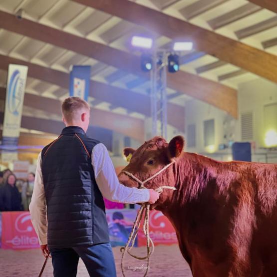 Pour la première fois, des animaux de la race étaient présentés à un événement de cette ampleur. ©Lou Godenir - Douceur Rurale
