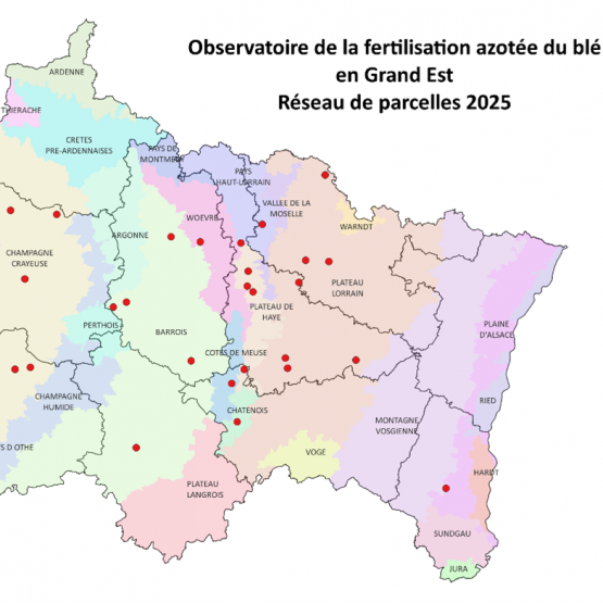 L’observatoire de la fertilisation azotée en Grand Est compte 36 parcelles de blé réparties sur la Champagne-Ardenne, la Lorraine et l’Alsace.