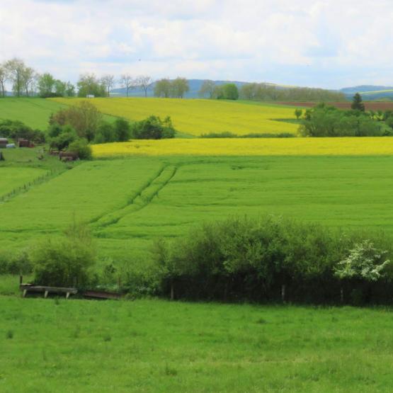 Franck Leroy, président de la Région Grand Est : "L'agriculture est une activité maîtresse de la région". Photo : H.Flamant