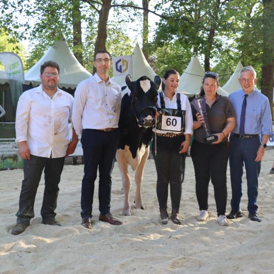 Clairette, copropriété du GAEC des Champs Montants à Hériménil et de l'EARL de la Muraille à Morey, est la grande championne d'Elevage en fête 2026. Photo : H.Flamant.