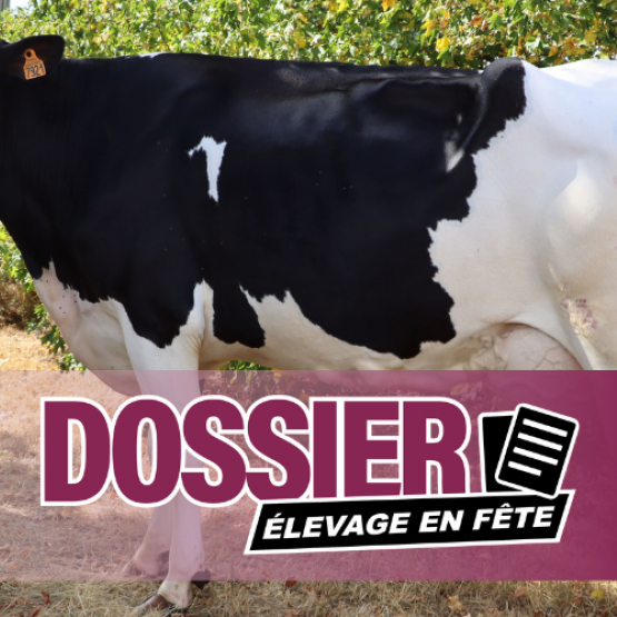 Léonie François et Tannière, vache en troisième lactation qui sera présente sur le ring de Lunéville. Photo : H.FLAMANT
