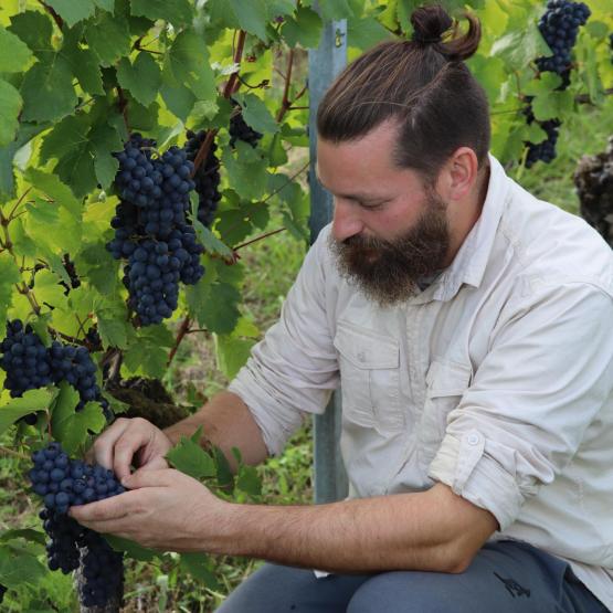 Logan Mathiot est viticulteur dans les Côtes de Toul depuis 2023.(credit photo : JJ)