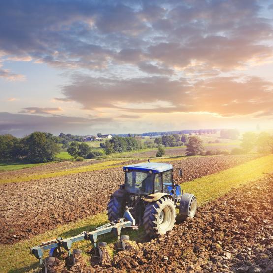 Les sénateurs ont clôturer le volet parlementaire de la loi d’urgence pour la protection et la souveraineté agricoles. © DR iStock