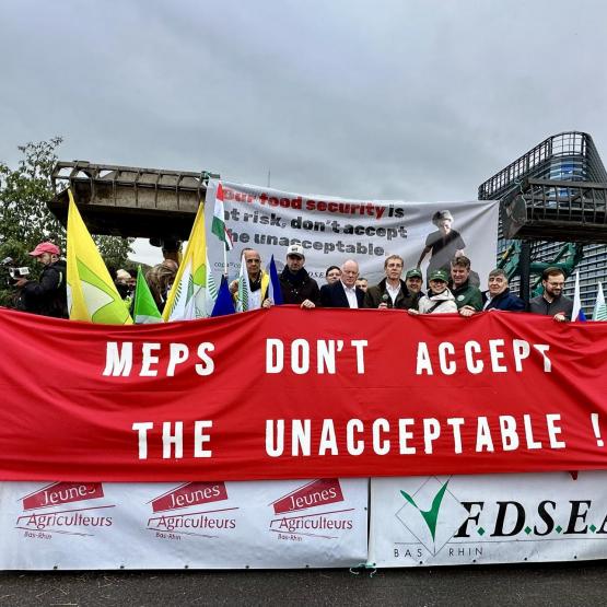 Une manifestation aux accents européens, mardi 21 octobre à Strasbourg (Crédit photo : Lucie d'Agosto)