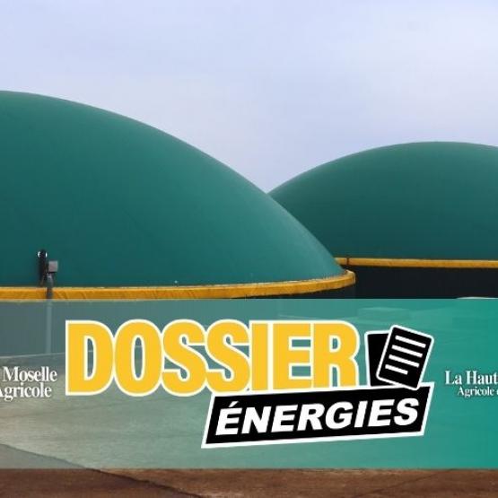 Les contrats signés avant l'arrêté du 8 septembre 2025 ne pourront plus être renouvelés au tarif aidé une fois arrivés à leur terme. Photo : H.FLAMANT