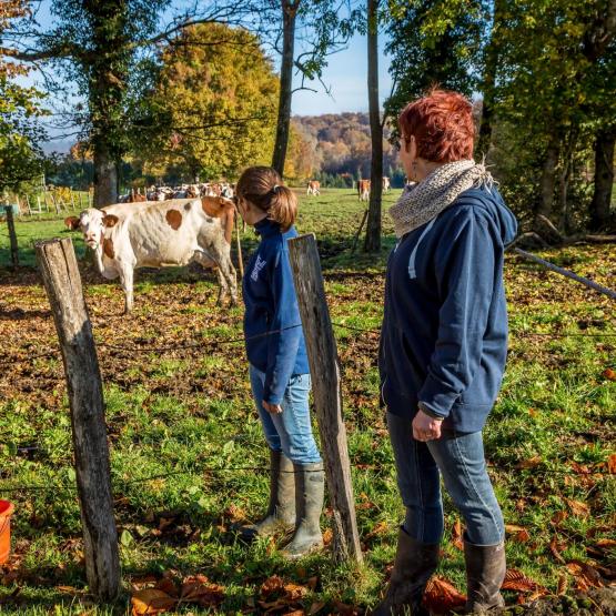 Cent-cinquante demandes de stage ont été validées depuis le printemps - Stéphane Grossin - ANEFA