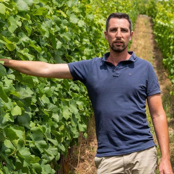 Paul Bulber s’inscrit pleinement dans la démarche de préservation des ressources en les appliquant au secteur viticole. Photo : JA Grand Est.