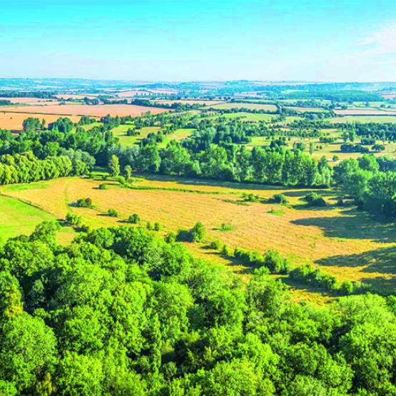 En 2025, ce sont 424.500 hectares qui ont changé de propriétaires (+5,9 %).  Photo Actuagri