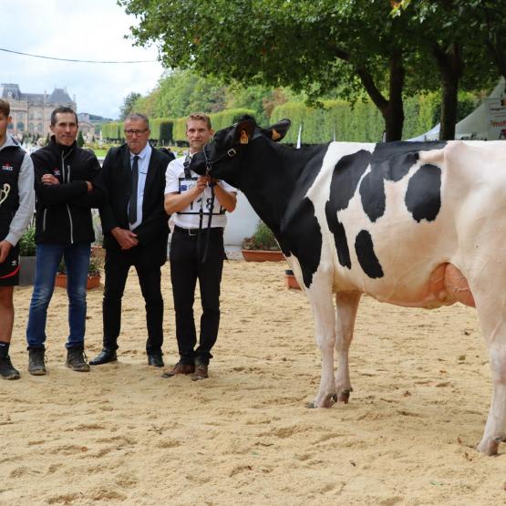 Rasberry, du Gaec Harmant Peltre à Guermange (Moselle), grande championne de Lunvéille. (crédit photo : JJ)