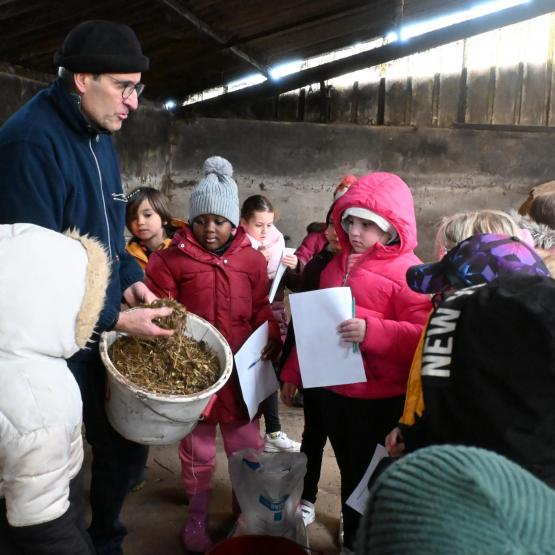Christophe explique la ration d’une vache et estime un GMQ explosif avec les mains des enfants remplies de foin pour caresser les vaches (crédit photo : J JORIS)