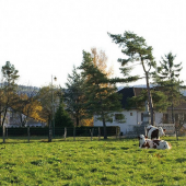 Pour limiter le gaspillage de l'herbe, le pâturage tournant est un levier efficace. © Photo DR