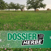 Culture d’herbe sur le périmètre de protection de captage de Beuvezin en Meurthe-et-Moselle. Les terrains sont la propriété de la commune qui a mis en place un bail environnemental. © Pierre DIVOUX