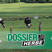 «Les systèmes basés sur l’herbe présentent une capacité à encaisser les chocs sur un temps long, avec des marges plus stables» explique Benoit Delmas. © Justine JORIS