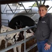 Selon les premières impressions d’Adelaïde Bardini, avec le programme Ghp, le niveau de production serait plus homogène entre  les vaches du troupeau. Photo : H.Flamant