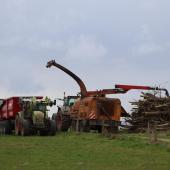 Démonstration de déchiquetage d’aulnes pour la production de plaquettes agroforestières. Photo : H.FLAMANT