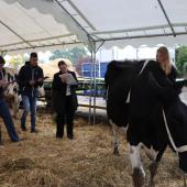 Les groupes se sont succédés tout au long de la journée. Photo : H.Flamant