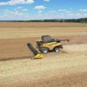 Une fois la maturité du colza atteinte, un bon réglage de la  moissonneuse-batteuse per- mettra de clôturer efficace- ment la campagne 2025. Photo : L.Jung