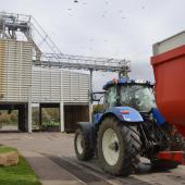 La coopération agricole Grand Est regroupe près de 200 coopératives agricoles intervenant sur l’ensemble des productions régionales : céréales, vin, lait, viande, luzerne, sucre, bois, fruits et légumes, approvisionnement, services. Photo : H.Flamant