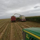 En Meurthe-et-Moselle, l'ensilage ne devrait pas intervenir avant le 5 septembre, selon les estimations. Photo : FarmerSeb.