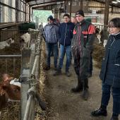 La problématique de la production laitière bio, objet d’échanges au GAEC de la Grosse haie, à Mance. Photo DR