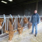 Un élevage Limousin valorisant 40 hectares d’herbe, en système extensif. Photo : JL.Masson