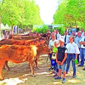 Un concours régional Limousin, comme tête d’affiche. Photo : JL.Masson