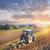 Les sénateurs ont clôturer le volet parlementaire de la loi d’urgence pour la protection et la souveraineté agricoles. © DR iStock