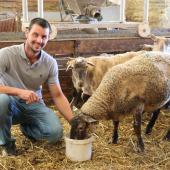 Avec le développement de la vente directe, Marien Bidon a redynamisé la production ovine sur l’exploitation familiale. Photo : H.Flamant