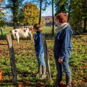 Cent-cinquante demandes de stage ont été validées depuis le printemps - Stéphane Grossin - ANEFA