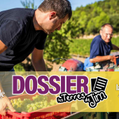 La filière agricole représente 1 263 479 actifs (chiffres MSA 2023) et près de 200 000 prévisions d’embauche (source France Travail 2025), qu’elles soient durables ou saisonnières.