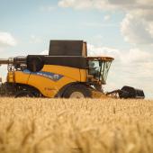 Au 1er août, il restait 5 à 10 % de la récolte à réaliser - L.GODENIR