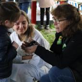 Tout en douceur, Pascale Drouville met en confiance les enfants et les invite à caresser poussins et lapins. (crédit photo : h.Flamant)
