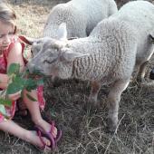 Accueillir des enfants à la ferme, un enrichissement mutuel (photo CDA 54).