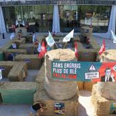 Les mardi 26 et mercredi 27 mai, l’Agpb tenait son assemblée générale annuelle, l’occasion d’évoquer les difficultés que traverse la filière depuis maintenant trois ans. Photo : Patrick Jacques.