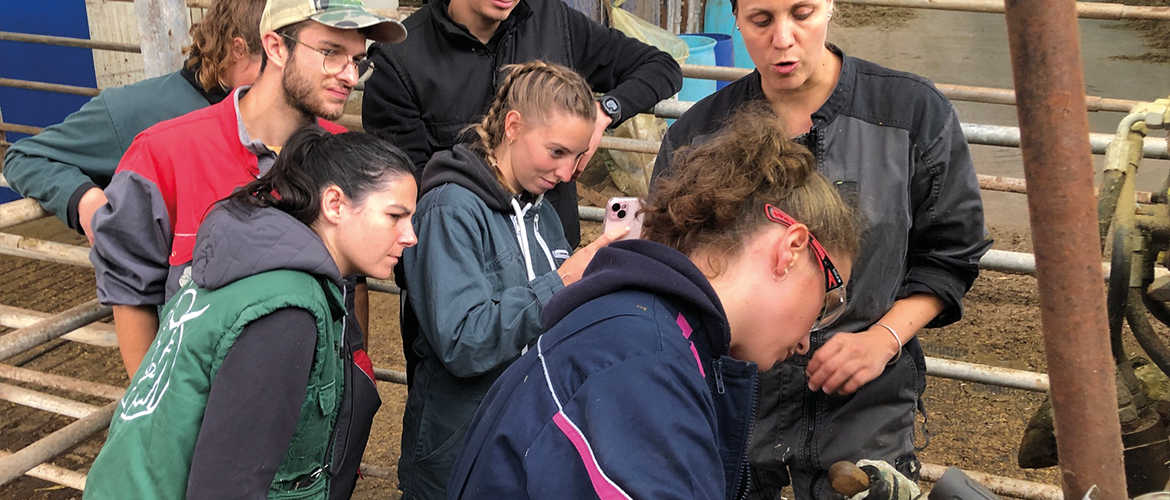 Des bancs de l’école roumaine à la ferme alsacienne, les étudiants français aspirants vétérinaires étaient à l’EARL Lutz pour une immersion organisée par le GTV GE. ©Photo A. Frintz